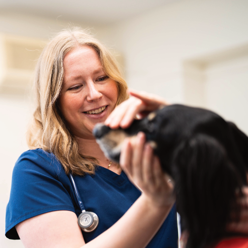Dr Annabel King